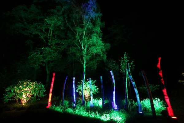 Ilumina_2014   054.jpg